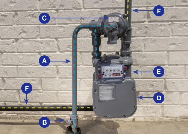 Gas Detector
